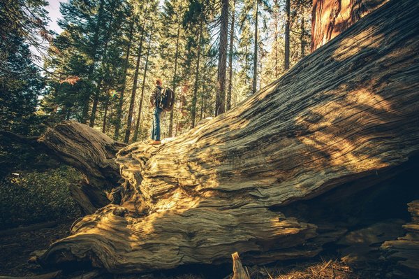 What are the best budget-friendly ways to explore the historic sites of York?